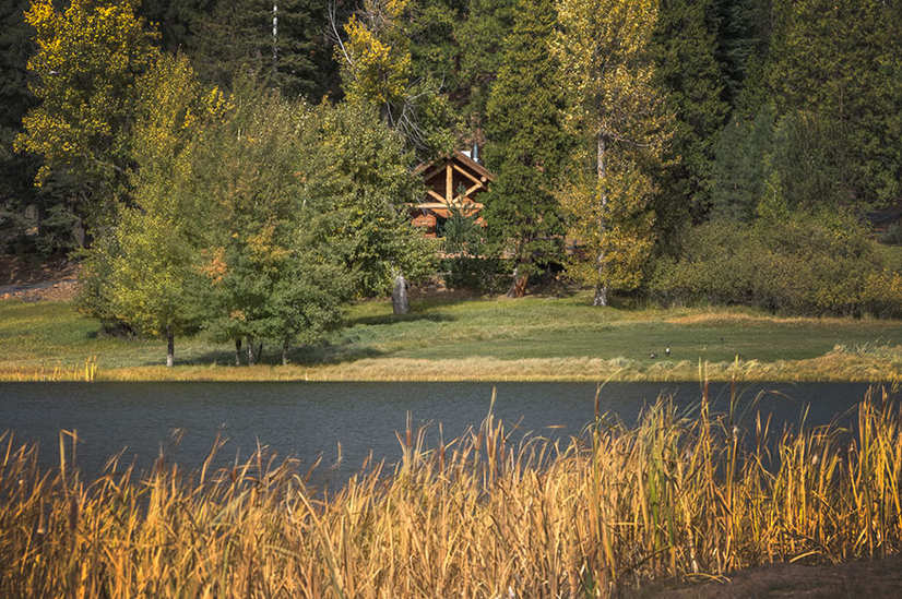 Lake cabin nestled in the trees